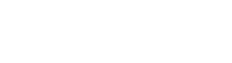 Brunsia Logo